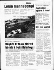Síða 6