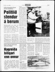 Síða 3