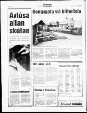 Síða 4