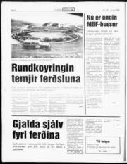 Síða 8
