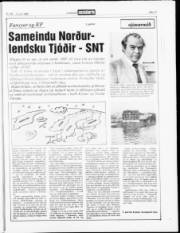 Síða 17