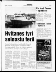 Síða 3
