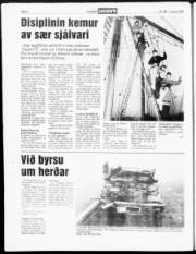 Síða 4