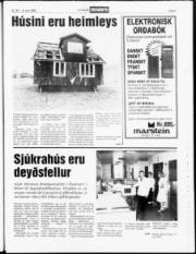 Síða 5