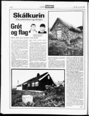 Síða 6
