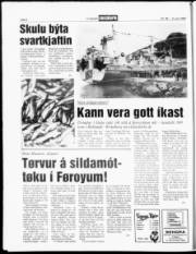 Síða 8
