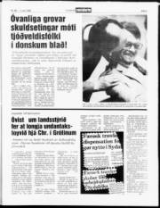 Síða 3