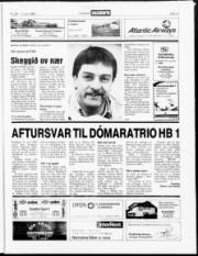 Síða 13