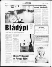 Síða 14
