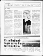 Síða 2