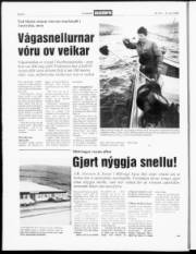 Síða 6