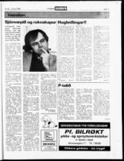 Síða 13