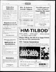 Síða 17