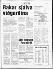 Síða 19