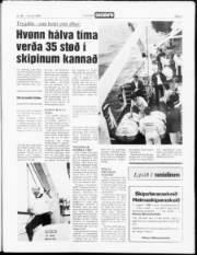 Síða 3