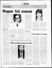 Síða 17