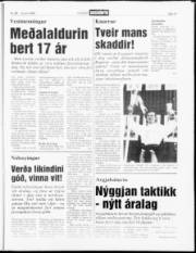 Síða 19