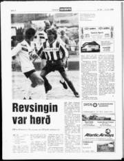 Síða 12