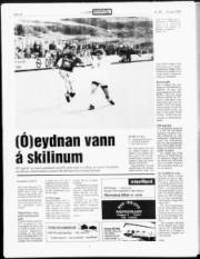 Síða 14
