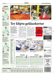 Síða 17