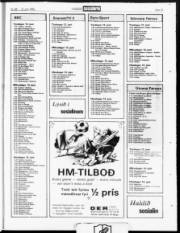 Síða 19