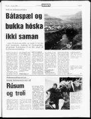 Síða 3
