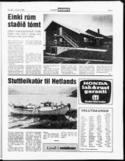 Síða 7
