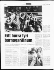 Síða 8