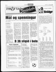 Síða 6