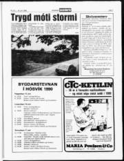Síða 7
