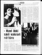 Síða 14