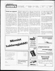 Síða 2