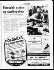 Síða 13