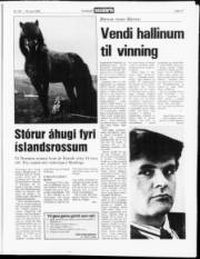 Síða 17