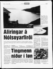 Síða 3