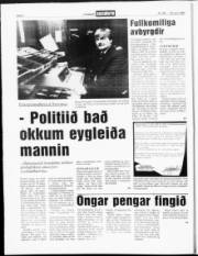 Síða 6