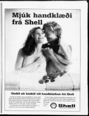Síða 13