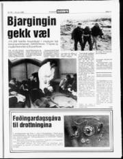 Síða 17