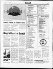 Síða 19