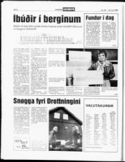 Síða 6