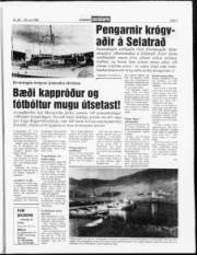 Síða 7