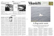 Síða 11