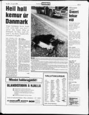Síða 3