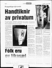 Síða 6