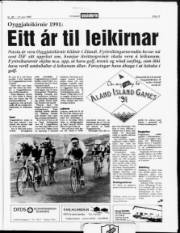 Síða 13