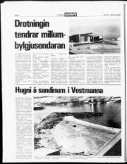 Síða 6