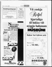 Síða 11