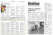 Síða 15