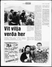Síða 6