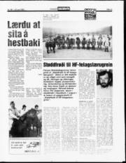 Síða 13